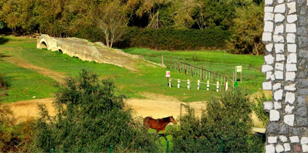 Parque Natural Doñana